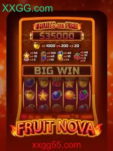 Explorando o Mundo de FruitNova: Um Guia Completo